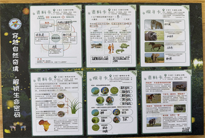 学习单5.jpg