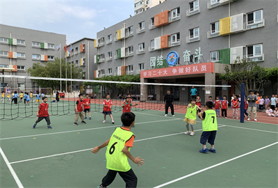 排球 (4).jpg